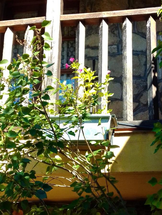 La Luciernaga Guest House Sorihuela Luaran gambar